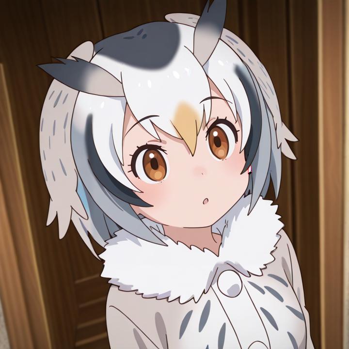 Northern White-faced Owl